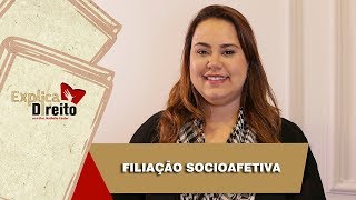 Explica Direito Filiação Socioafetiva  2019 [upl. by Ynatirb]