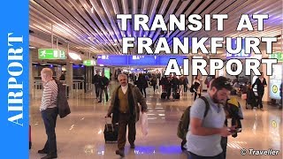 TRANSIT WALK AT FRANKFURT Airport FRA Terminal 1  Connection Flight Transfer Arriving amp Departing [upl. by Nedda]